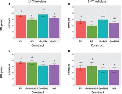 GmGLU1 and GmRR4 contribute to iron deficiency tolerance in soybean